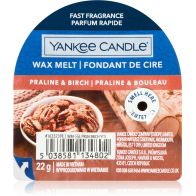 YANKEE CANDLE PRALINE & BIRCH VONNÝ VOSK DO AROMALAMPY 